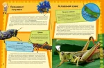 Комахи та павуки - Зображення 2