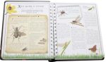 Відкривай Boys’ Book. Підручник відважного мандрівника - Зображення 2