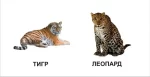 Звірята. Карамелька - Зображення 2