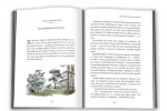 Книга Хроніки Нарнії. Книга 3. Кінь та його хлопчик - Зображення 2