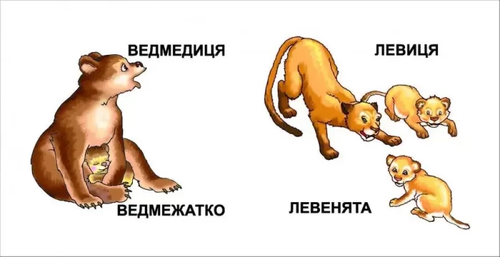 Мами та малюки. Карамелька - Зображення 2