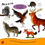 Тварини. Моя перша книжка - Зображення 2