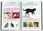 Коти. Міні-енциклопедія - Зображення 2