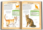 Коти. Міні-енциклопедія - Зображення 3