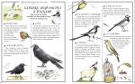 Відкривай Boys’ Book. Підручник відважного мандрівника - Зображення 4