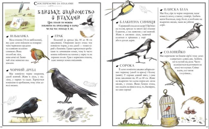 Відкривай Boys’ Book. Підручник відважного мандрівника - Зображення 4