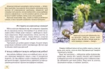 Домашні улюбленці. Енциклопедія для допитливих - Зображення 4