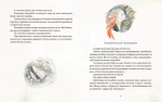 Казки дідуся Ґурама - Зображення 2