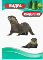 Дидактичний матеріал. Розповімо дітям. Про тварин України - Зображення 3