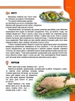 Мешканці морів та океанів. Енциклопедія для допитливих - Зображення 4
