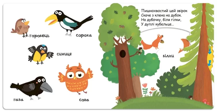 Тварини в лісі. Сторінки - цікавинки - Зображення 3