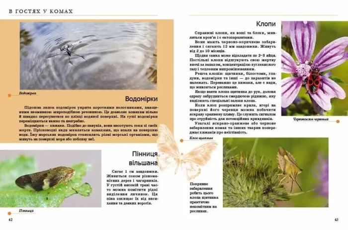 Комахи та інші. Енциклопедія для допитливих - Зображення 3