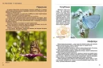 Комахи та інші. Енциклопедія для допитливих - Зображення 4