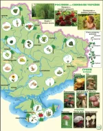 Я досліджую світ 1-2 класи. Атлас - Зображення 7