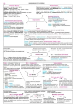 Історія України. Опорний конспект. Повний курс у 49 табл. для підготовки до ЗНО | Харькова Н.С. - Зображення 3