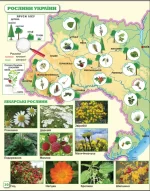 Я досліджую світ 1-2 класи. Атлас - Зображення 6
