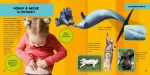 Моя перша велика книжка ЧОМУ - Зображення 3
