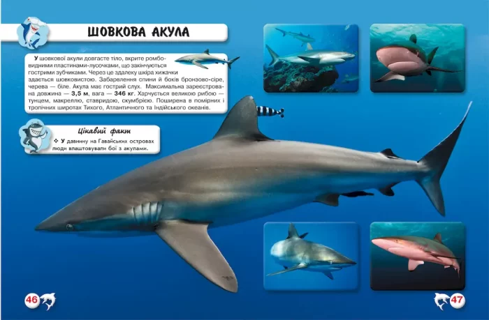 Світ навколо нас. Акули - Зображення 3