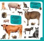 100 слів про тварин світу. 100 words about animals of the world - Зображення 3