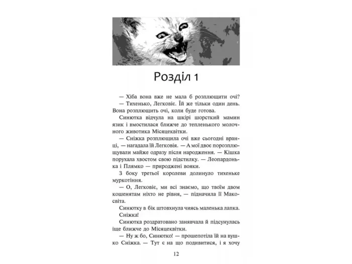 Пророцтво Синьозірки. Спеціальне видання - Зображення 2