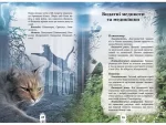 Коти-вояки. Таємниці Кланів. Путівник по серії | Ерін Гантер - Зображення 2