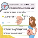 Як ми з’являємося на світ. Просто про науку - Зображення 3
