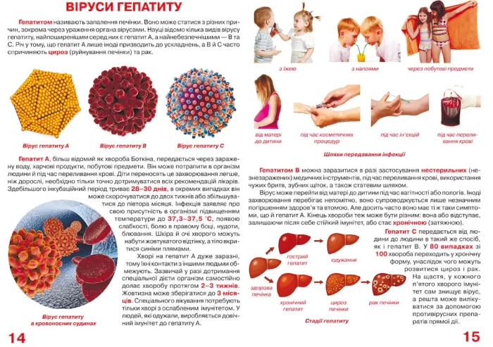 Велика книжка. Віруси - Зображення 3