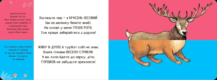 Тваринки - половинки. У лісі - Зображення 4