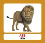 Польсько-українські картки / Дикі тварини - Зображення 2