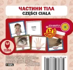 Польсько-українські картки  Частини тіла - SOVA