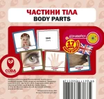 Частини тіла. Англійсько-українські картки - SOVA