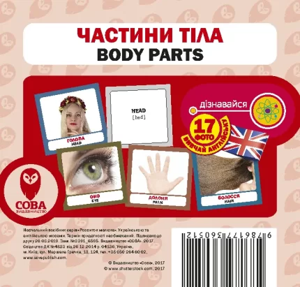 Частини тіла. Англійсько-українські картки - SOVA