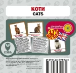 Коти. Англійсько-українські картки - SOVA