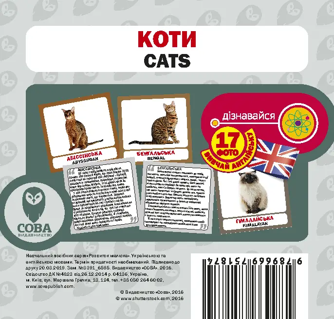 Коти. Англійсько-українські картки - Коти. Англійсько-українські картки - SOVA