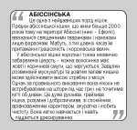Коти. Англійсько-українські картки - Зображення 3