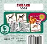 Собаки. Англійсько-українські картки - SOVA