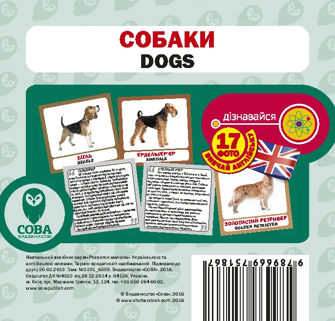 Собаки. Англійсько-українські картки - Собаки. Англійсько-українські картки - SOVA