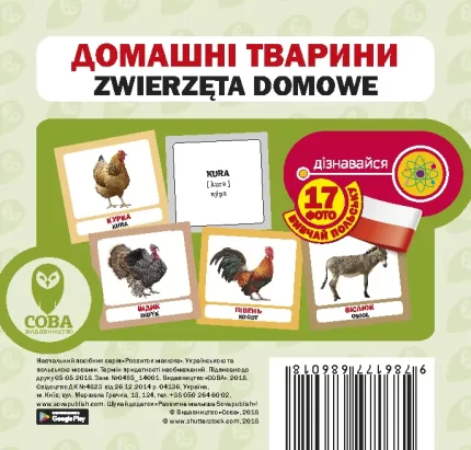 Польсько-українські картки   Домашні тварини - SOVA