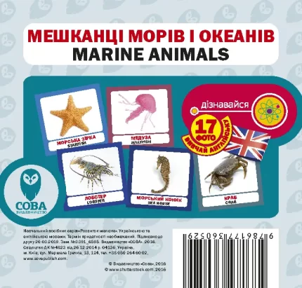 Мешканці морів і океанів. Англійсько-українські картки - SOVA