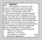 Гриби. Англійсько-українські картки - Зображення 3