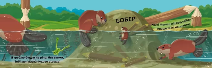 Книжка-схованка з чарівними крилами. Чиї це лапки? - Зображення 2
