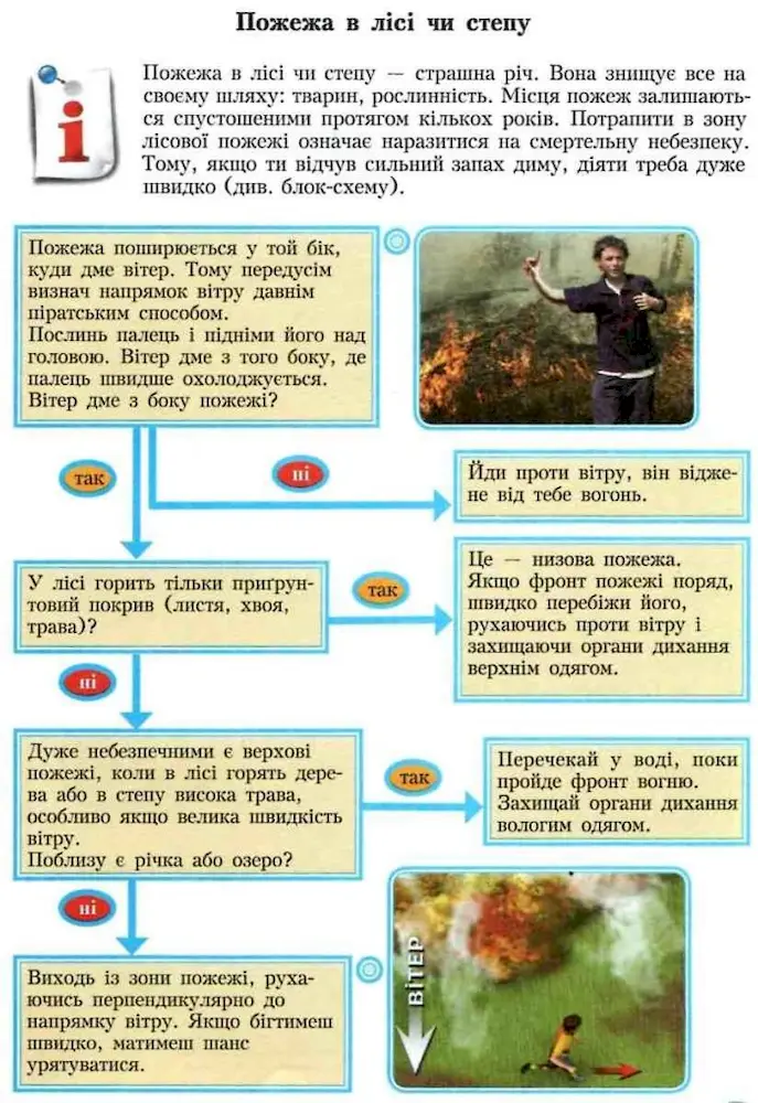 Основи здоров’я. Зошит-практикум 8 клас - Зображення 4