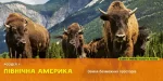Моя перша велика книжка ПРО СВІТ - Зображення 3