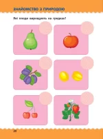 Навчалочка. Тести з наліпками. 5-6 років - Зображення 2
