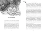 Джури-характерники. Книга 2 - Зображення 2