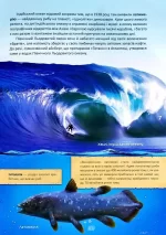 Таємниці підводного світу. Перша шкільна енциклопедія - Зображення 4