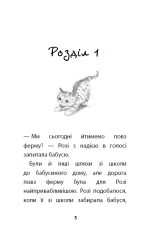 Руданчик — кошеня-безхатько - Зображення 2