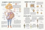 Тіло людини. Як це працює? - Зображення 3