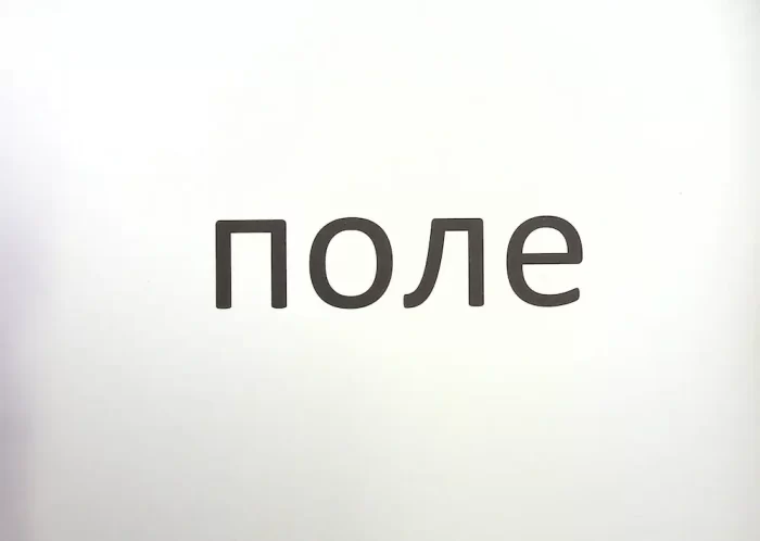 Зорові диктанти з української мови. 1 клас - Зображення 4