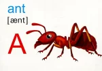 English : flashcards. Alphabet Алфавіт. Набір карток англійською мовою - Зображення 2